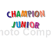 Champion Junior Exhibitor 
